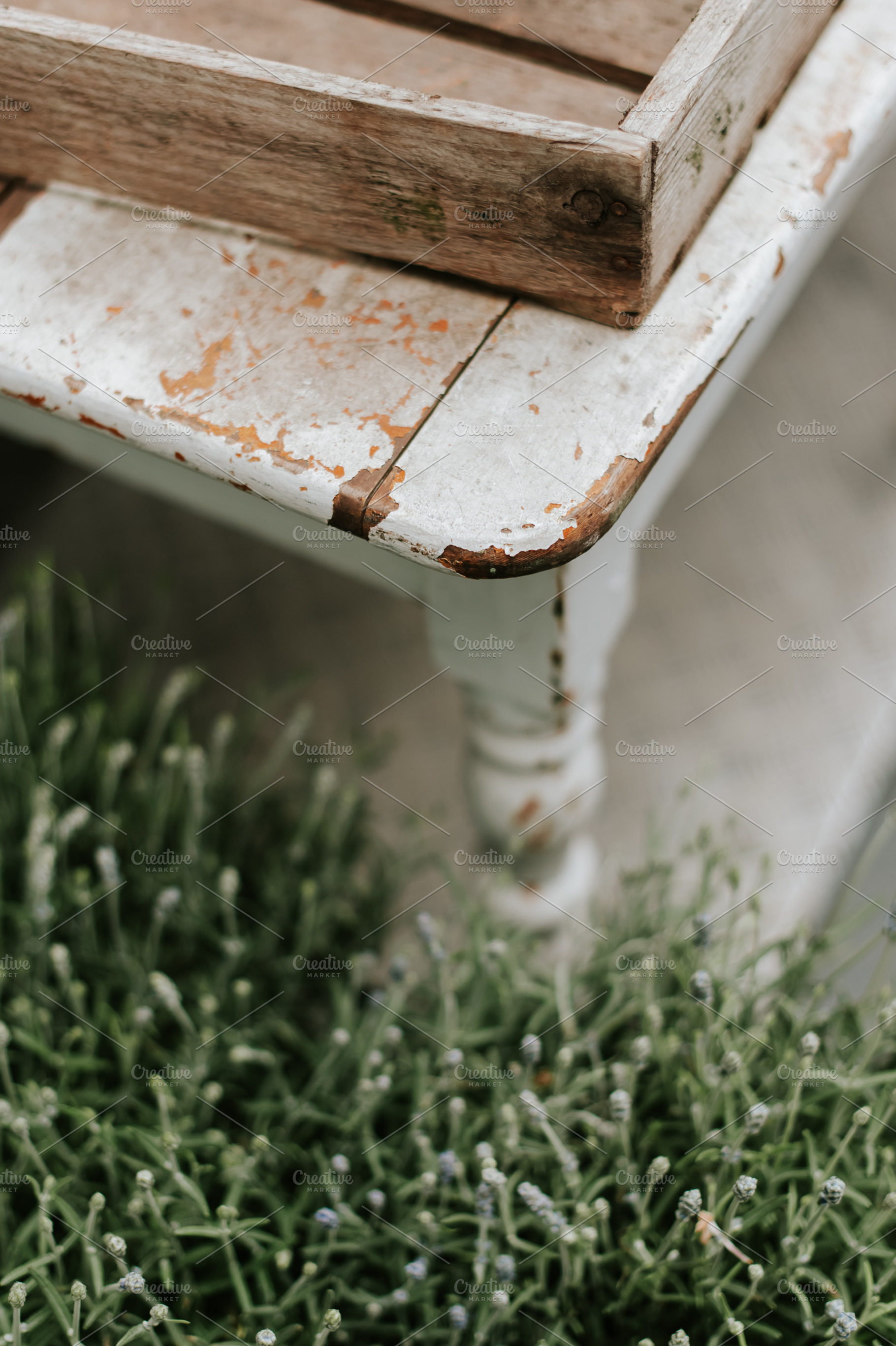 Old wood and plants, an Arts & Entertainment Photo by TheTheodors