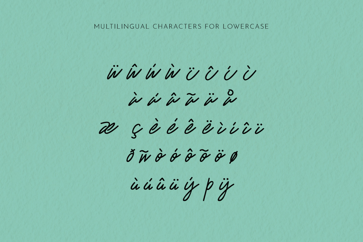 Mr. Skywhale Signature Script Font, a Handwritten Font by ashenterprise (Photo 14 of 16)