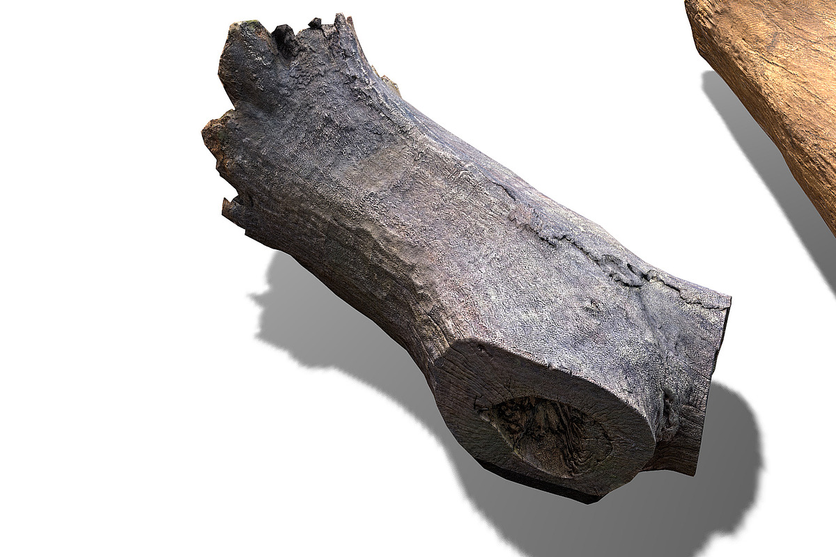 13 Tree Logs, an Environmental 3D Model by Beatheart Creative Studio (Photo 29 of 37)