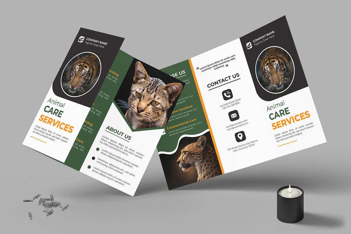 Animal Care Trifold Layout, a Brochure Template by MightyDesign (Photo 1 of 7)