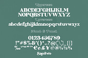 Saestwo - Playful Retro Serif, a Serif Font by SemutHitam Creative (Thumbnail 7 of 10)