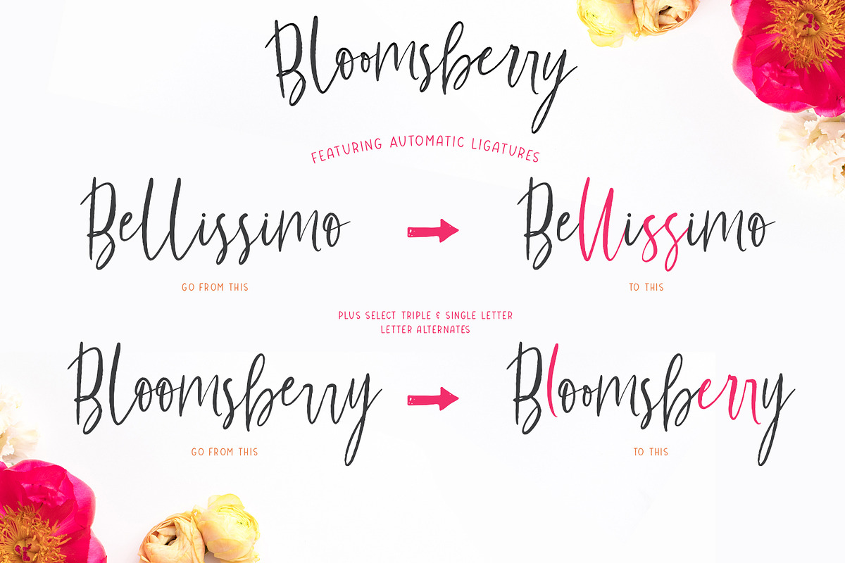 Bloomsberry Type & Graphics, a Handwritten Font by Callie Rian & Co. (Photo 10 of 14)