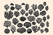 Linocut Coral Clipart Bundle, an Illustration by ClayStudio (Thumbnail 2 of 8)
