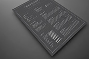Resume/CV, a Resume Template by UX-group (Thumbnail 6 of 9)