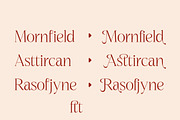 Nagista Modern Serif Font, a Serif Font by Letterena Studios (Thumbnail 9 of 15)