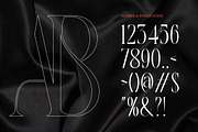Barqey Modern Vague Editorial Font, a Serif Font by Rasio Studio (Thumbnail 4 of 7)