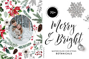 Merry & Bright Watercolor Botanicals, an Illustration by studioequinox (Thumbnail 9 of 10)
