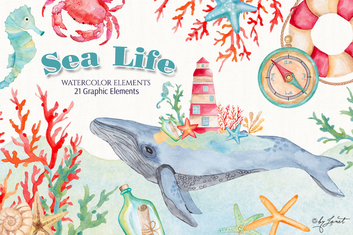 Sea Life Watercolor, an Illustration by helloPAPER (Photo 1 of 2)