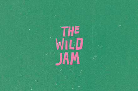 THE WILD JAM, an Illustration by Kukla Studio