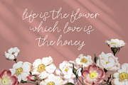 Beverly Hills - Handwriten Script fo, a Script Font by Nahar_std (Thumbnail 4 of 8)