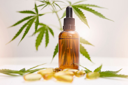 Cannabis, marijuana and product with oil of cbd for alternative medicine, natural skincare or healthcare supplement. Beauty, luxury and wellness with legal pills and weed plant for anxiety and stress, a Photo by Peopleimages.com