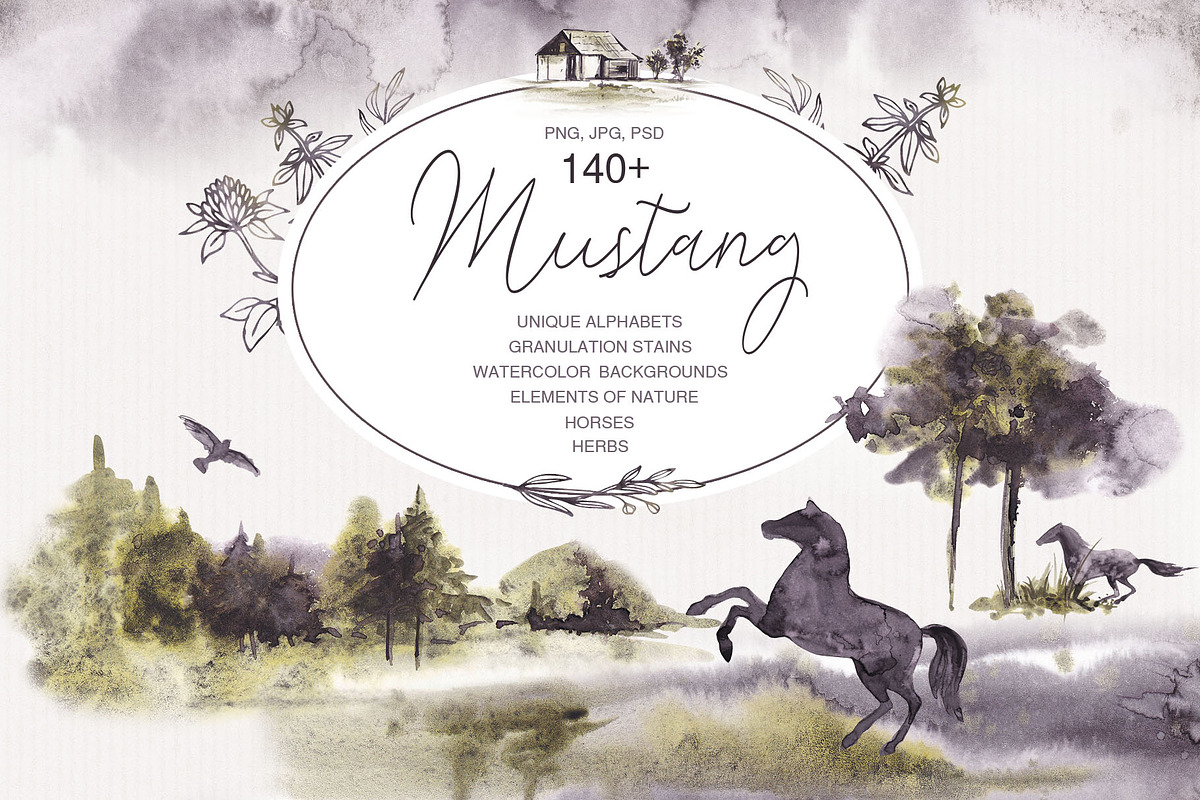 MUSTANG. Nature, herbs and horses., a Decorative Illustration by Elena_Sedova (Photo 1 of 13)