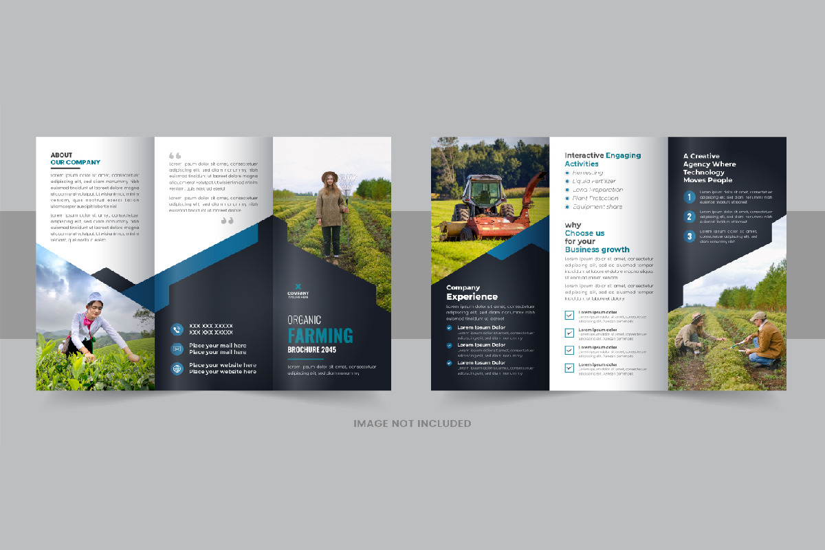 Lawn care or Agro trifold brochure, a Brochure Template by Pavel_design