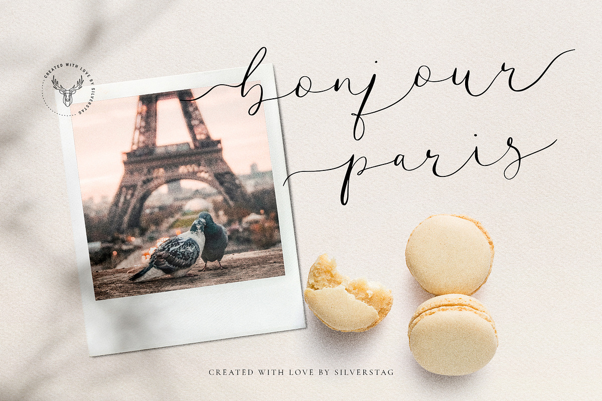 Amelie - Chic & Elegant Script Font preview 8