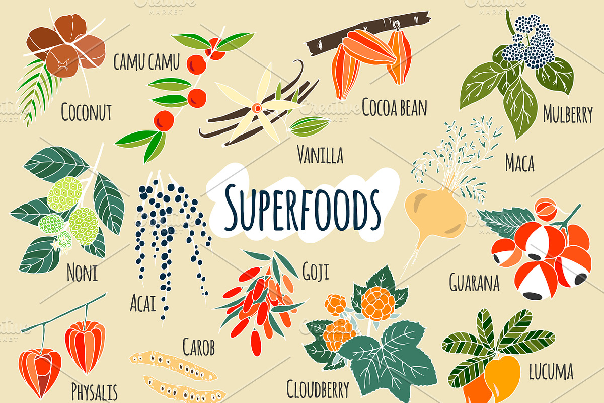 Hand-drawn superfoods., a Food Illustration by itiir