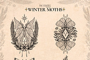 Winter Moths & Evergreen Botanicals, a Seasonal Illustration by Ink Stories (Thumbnail 8 of 15)