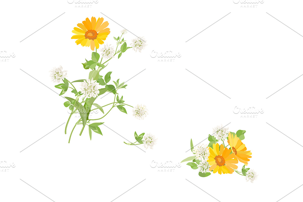 Vector object brushes. Calendula, a Brush Add-On by Peolla (Photo 14 of 16)