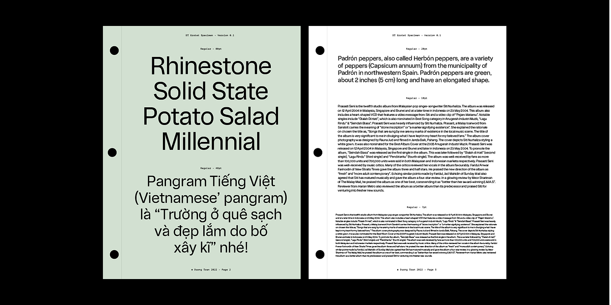 DT Meman, a Sans Serif Font by DType (Photo 7 of 7)