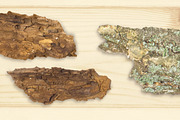 Autumn Floral Mockup Objects, an Object Graphic by uncle-rico (Thumbnail 9 of 13)