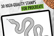 30 Procreate Snake Stamps, a Brush Add-On by Nuclear Brushes (Thumbnail 2 of 10)
