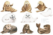 Animals of the Arctic Ocean, an Illustration by Love Watercolor Store (Thumbnail 4 of 8)