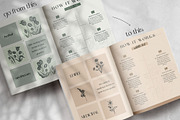 Boho eBook Template for Herbalists, a Magazine Template by Made by Melody (Thumbnail 14 of 16)