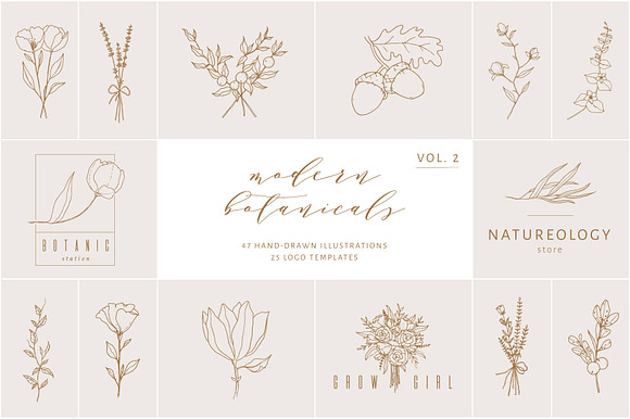 Vol. 2 Botanical hand - drawn logos preview 7
