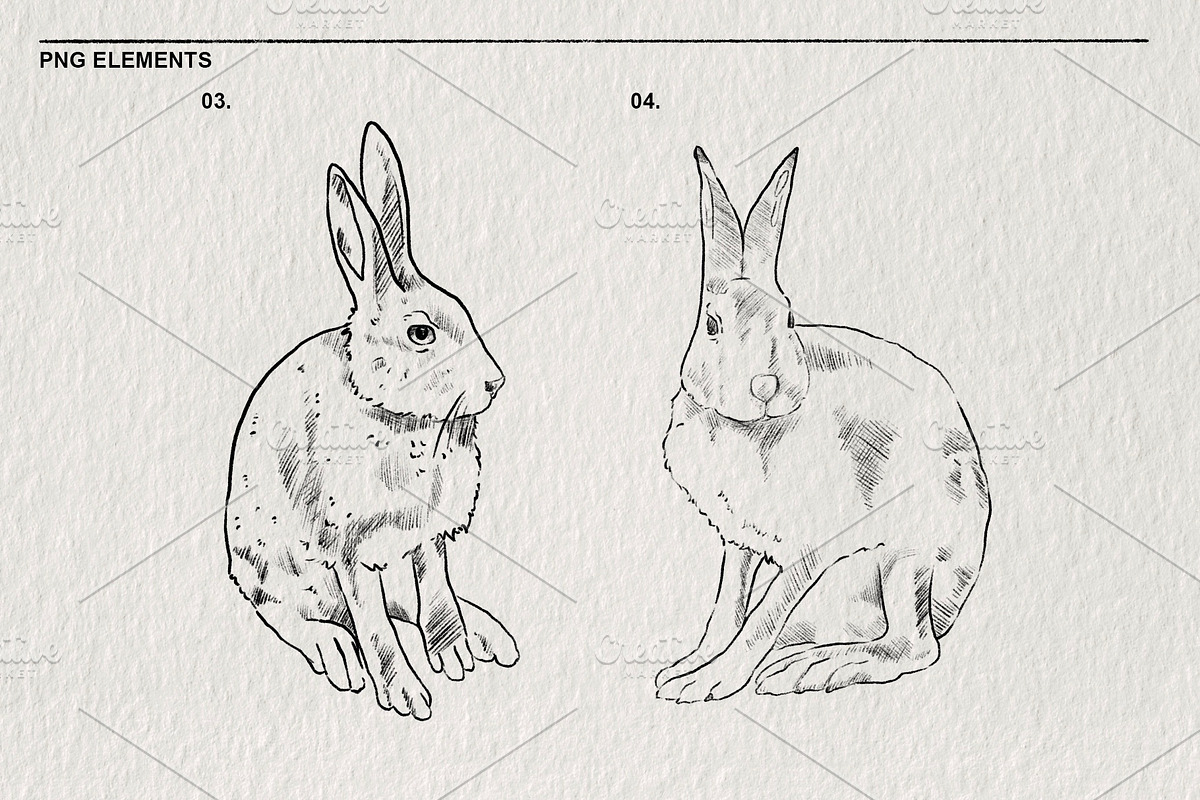 Pencil sketches of rabbit PNG, an Animal Illustration by LOKSKIH (Photo 4 of 5)