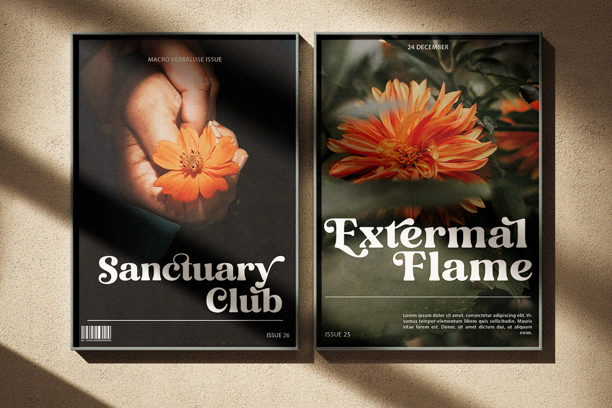 Folker Typeface, a Serif Font by Megatype (Photo 4 of 15)