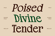 CS Eloise – Aesthetic Font, a Serif Font by Craft Supply Co. (Thumbnail 3 of 8)