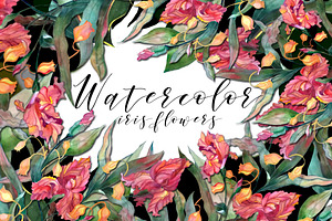Watercolor iris flowers set.