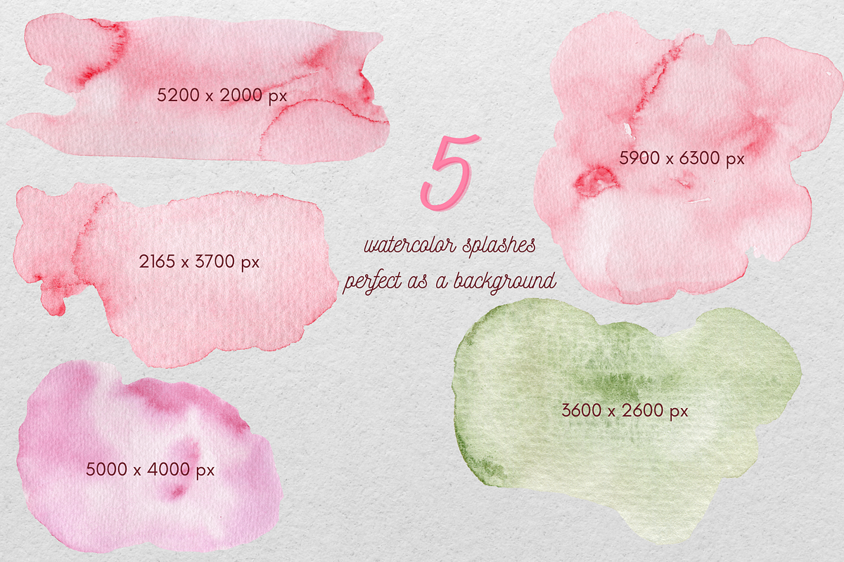 Pink peony flowers watercolor, an Illustration by Artcard Watercolor (Photo 3 of 6)