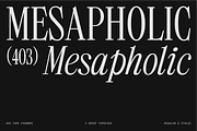 403 Mesapholic Modern Serif, a Serif Font by 403 Type Foundry (Thumbnail 1 of 16)