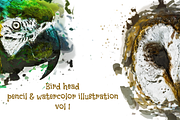 Bird Head Pencil & Watercolor vol 1, an Animal Illustration by Sahade Studio (Thumbnail 1 of 3)