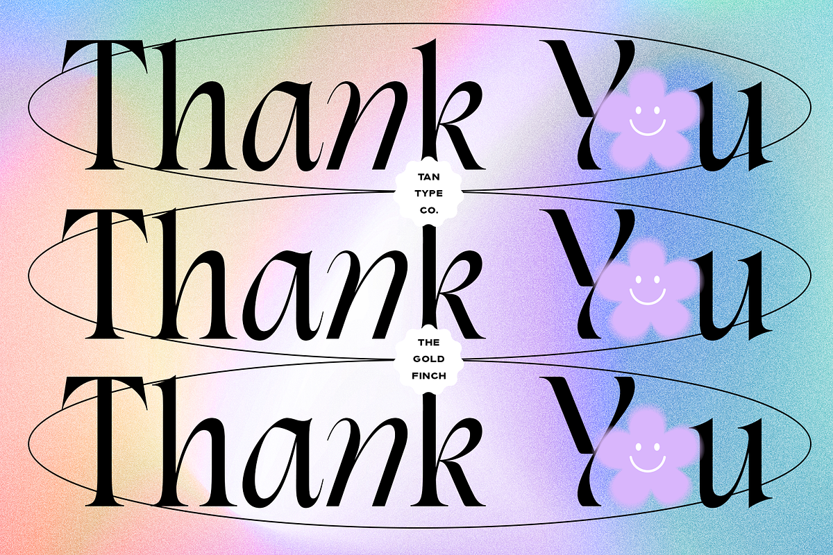 TAN - THE GOLDFINCH, a Font by TanType (Photo 9 of 9)