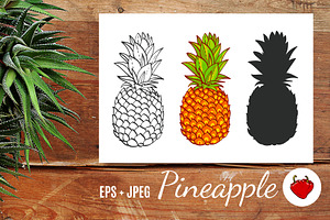 Pineapple. Hand drawn vector.