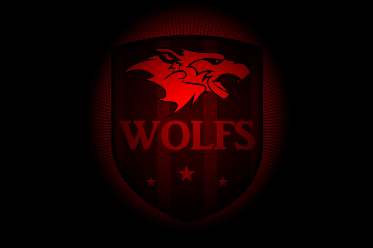 Great set sport logo (60off), an Animal Illustration by pashigorov (Photo 16 of 16)