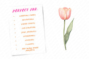 Watercolor Blush Wild Flowers, an Illustration by Watercolor design (Thumbnail 11 of 12)