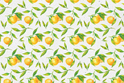 Tangerines. Watercolor collection, a Decorative Illustration by Maria's little shop (Thumbnail 8 of 11)