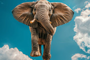 116 Flying animals, an Animal Photo by Handmadefont (Thumbnail 54 of 119)