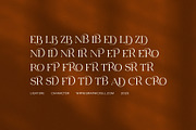 Abind Modern Serif Font, a Serif Font by Elegant Font (Thumbnail 8 of 8)