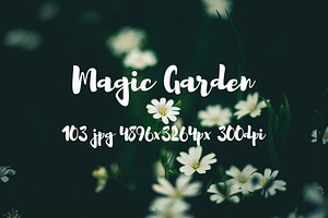 Magic garden pack