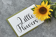 Humble Smart, a Handwritten Font by FreshTypeINK (Thumbnail 5 of 8)