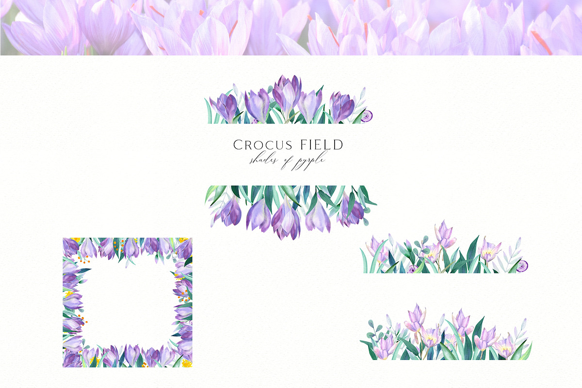 Spring Crocus Flowers Watercolor set, an Illustration by Olga Koelsch (Photo 5 of 8)