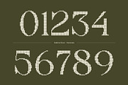 Dalbine Disco, a Serif Font by Craft Supply Co. (Thumbnail 5 of 8)