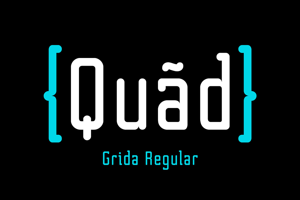 Grida Font Family, a Sans Serif Font by Max Glimm Type (Photo 2 of 7)