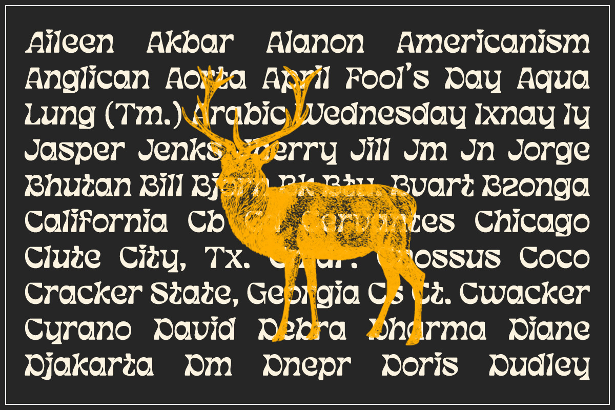 Tenda Display, a Font by Attract Studio (Photo 16 of 17)