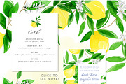 Juicy Watercolor Lemon Set, an Illustration by One and Only Paper (Thumbnail 8 of 9)