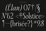 Aveline, Soft Serif with Ligatures, a Serif Font by CarmineType (Thumbnail 7 of 28)