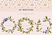 Arctic Life watercolor collection, an Animal Illustration by Diana Askarova Art (Thumbnail 5 of 11)